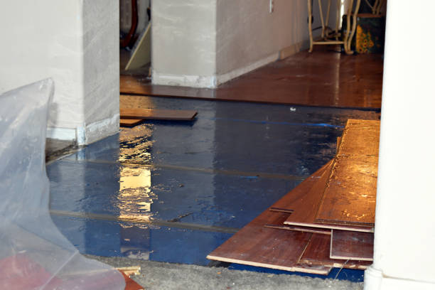 Professional Flood Cleanup technician working in Arcadia, WI